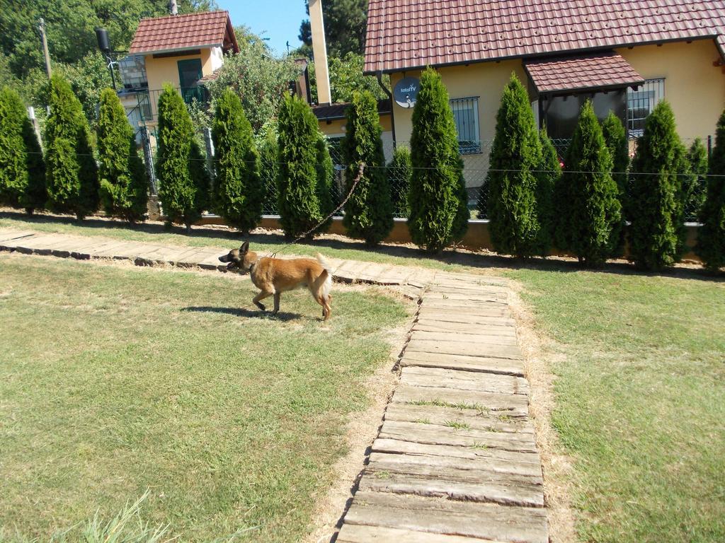 Bed and Breakfast Kuca Za Odmor "Karalic" Ležimir Zewnętrze zdjęcie